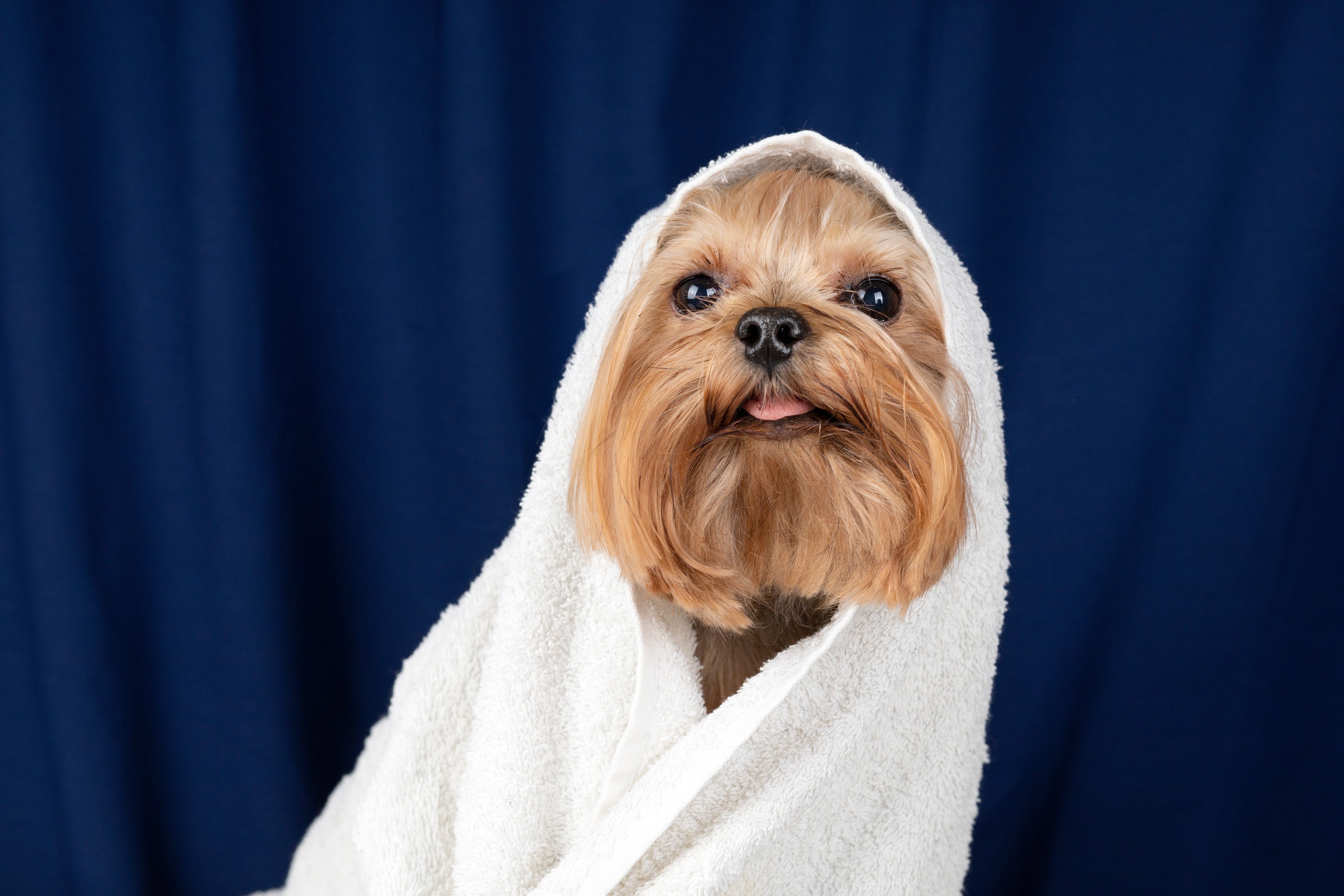 Services Landing Image